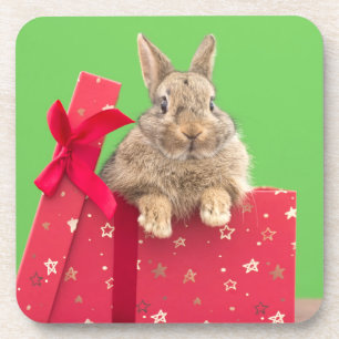 Kutest Baby Animals Kerstfeestdag Bunny Bier Onderzetter