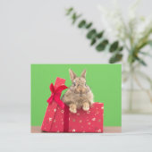 Kutest Baby Animals | Kerstfeestdag Bunny Briefkaart (Staand voorkant)