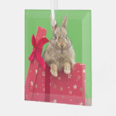 Kutest Baby Animals | Kerstfeestdag Bunny Glas Ornament (Voorkant links)