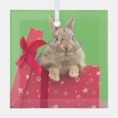 Kutest Baby Animals | Kerstfeestdag Bunny Glas Ornament (Voorkant)
