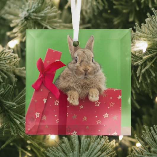 Kutest Baby Animals | Kerstfeestdag Bunny Glas Ornament (Insitu)