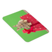 Kutest Baby Animals | Kerstfeestdag Bunny Magneet (Rechterzijde)