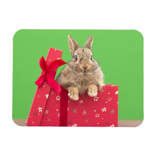 Kutest Baby Animals | Kerstfeestdag Bunny Magneet (Horizontaal)
