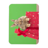 Kutest Baby Animals | Kerstfeestdag Bunny Magneet (Verticaal)