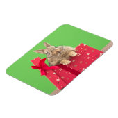 Kutest Baby Animals | Kerstfeestdag Bunny Magneet (Linkerzijde)