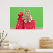 Kutest Baby Animals | Kerstfeestdag Bunny Poster (Keuken)