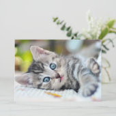 Kutest Baby Animals | Keuken met blauwe ogen Bedankkaart (Staand voorkant)