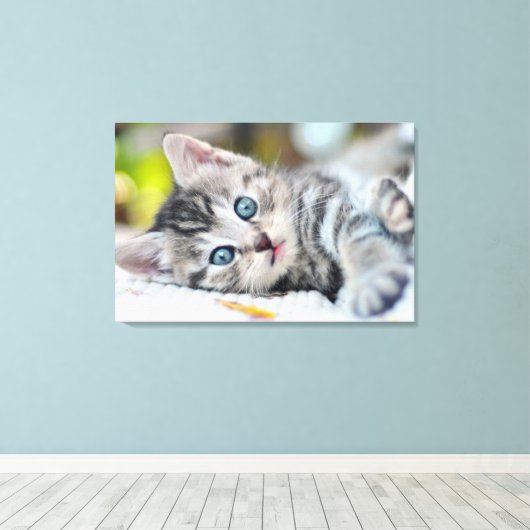 Kutest Baby Animals | Keuken met blauwe ogen Canvas Afdruk (Insitu (Houten vloer))