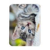 Kutest Baby Animals | Keuken met blauwe ogen Magneet (Verticaal)