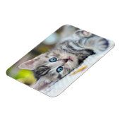 Kutest Baby Animals | Keuken met blauwe ogen Magneet (Linkerzijde)