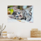 Kutest Baby Animals | Keuken met blauwe ogen Poster (Keuken)