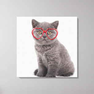 Kutest Baby Animals   Keukenhars Canvas Afdruk