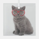 Kutest Baby Animals | Keukenhars Glas Ornament (Voorkant)