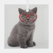 Kutest Baby Animals | Keukenhars Glas Ornament (Achterkant)