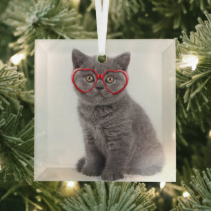 Kutest Baby Animals Keukenhars Glas Ornament