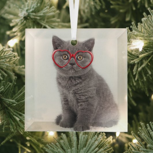 Kutest Baby Animals | Keukenhars Glas Ornament (Insitu)