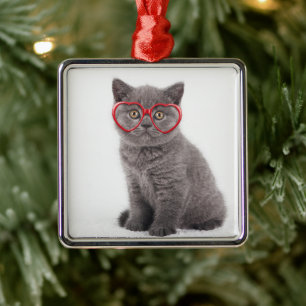Kutest Baby Animals Keukenhars Metalen Ornament