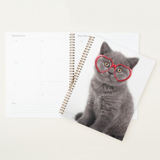 Kutest Baby Animals | Keukenhars Planner (Display)