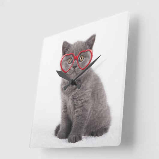 Kutest Baby Animals | Keukenhars Vierkante Klok (Hoek)