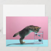 Kutest Baby Animals | Keukenkijker op de vis Bowl Bedankkaart (Voorkant / Achterkant)