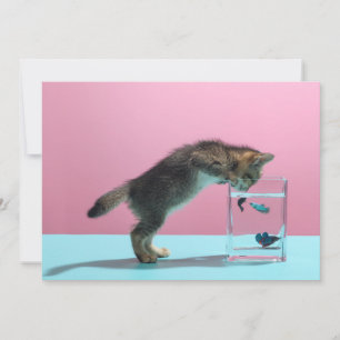 Kutest Baby Animals   Keukenkijker op de vis Bowl Bedankkaart