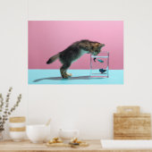 Kutest Baby Animals | Keukenkijker op de vis Bowl Poster (Keuken)