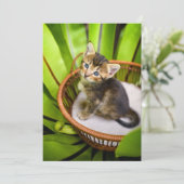 Kutest Baby Animals | Keuten in mandje Bedankkaart (Staand voorkant)