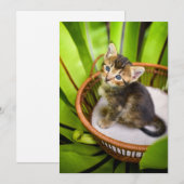 Kutest Baby Animals | Keuten in mandje Bedankkaart (Voorkant / Achterkant)