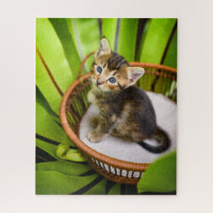 Kutest Baby Animals Keuten in mandje Legpuzzel