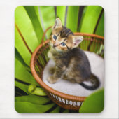 Kutest Baby Animals | Keuten in mandje Muismat (Voorkant)