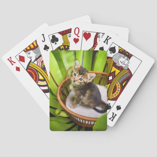 Kutest Baby Animals | Keuten in mandje Pokerkaarten (Achterkant)