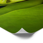 Kutest Baby Animals | Keuten in mandje Poster (Hoek)