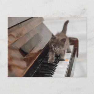 Kutest Baby Animals   Keuten op Piano Briefkaart