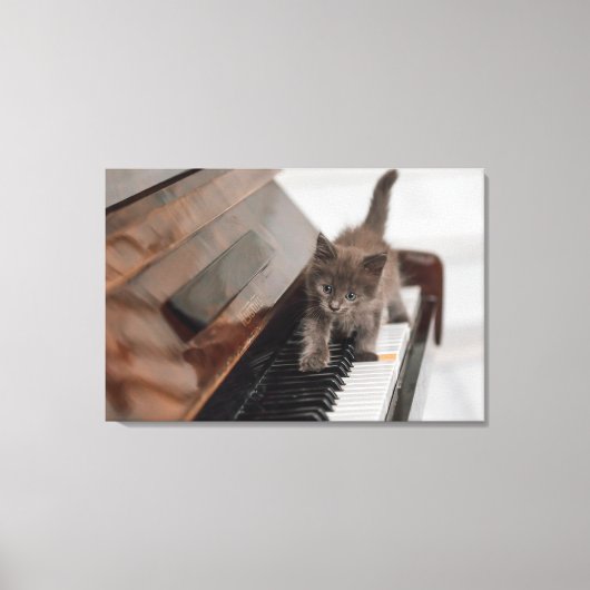 Kutest Baby Animals | Keuten op Piano Canvas Afdruk (Voorkant)