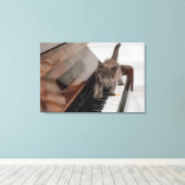 Kutest Baby Animals | Keuten op Piano Canvas Afdruk (Insitu (Houten vloer))