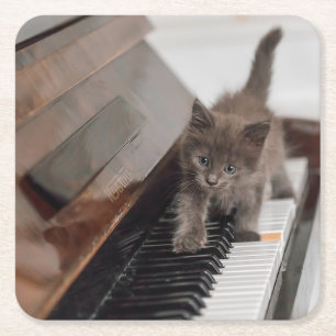 Kutest Baby Animals   Keuten op Piano Kartonnen Onderzetters