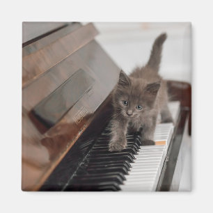 Kutest Baby Animals   Keuten op Piano Magneet