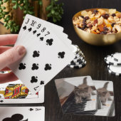 Kutest Baby Animals | Keuten op Piano Pokerkaarten (Insitu)