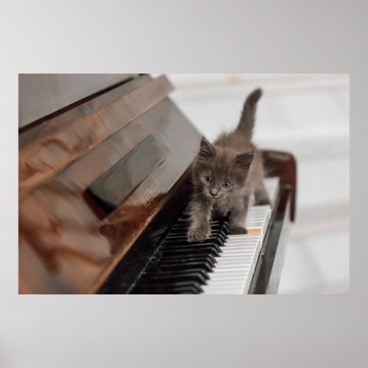 Kutest Baby Animals | Keuten op Piano Poster (Voorkant)