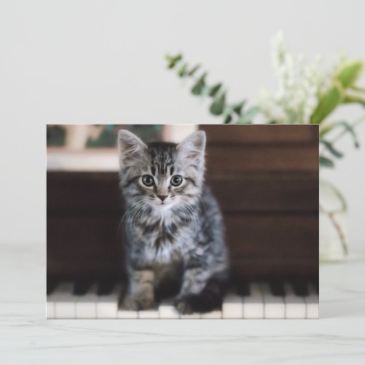 Kutest Baby Animals | Keuten op pianoketoestel Bedankkaart (Staand voorkant)