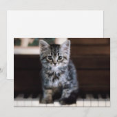 Kutest Baby Animals | Keuten op pianoketoestel Bedankkaart (Voorkant / Achterkant)