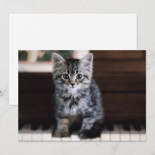 Kutest Baby Animals | Keuten op pianoketoestel Bedankkaart (Voorkant / Achterkant)