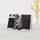 Kutest Baby Animals | Keuten op pianoketoestel Kaart (Gele Bloem)