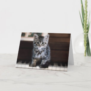 Kutest Baby Animals   Keuten op pianoketoestel Kaart