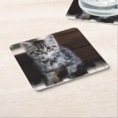 Kutest Baby Animals | Keuten op pianoketoestel Kartonnen Onderzetters (Schuin)