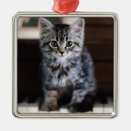 Kutest Baby Animals | Keuten op pianoketoestel Metalen Ornament (Voorkant)