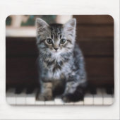 Kutest Baby Animals | Keuten op pianoketoestel Muismat (Voorkant)