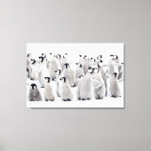 Kutest Baby Animals | Kippen van keizer Penguin Canvas Afdruk (Voorkant)