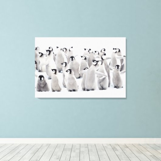 Kutest Baby Animals | Kippen van keizer Penguin Canvas Afdruk (Insitu (Houten vloer))