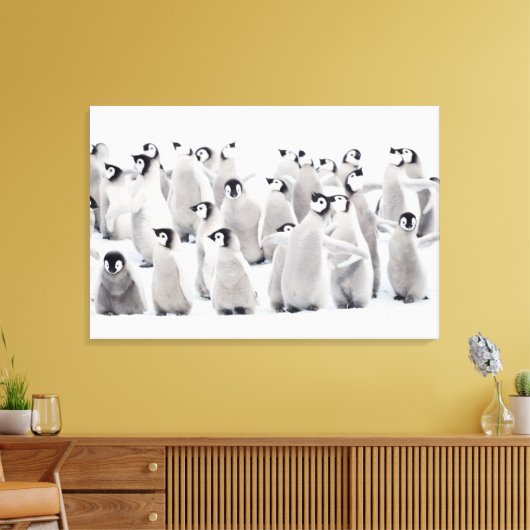 Kutest Baby Animals | Kippen van keizer Penguin Canvas Afdruk (Insitu (Woonkamer))